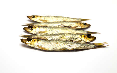 Several smoked European Sprats Sprattus sprattus on white isolated backgroundの写真素材