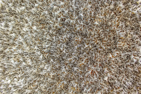 Handmade texture  in Thai templeの写真素材