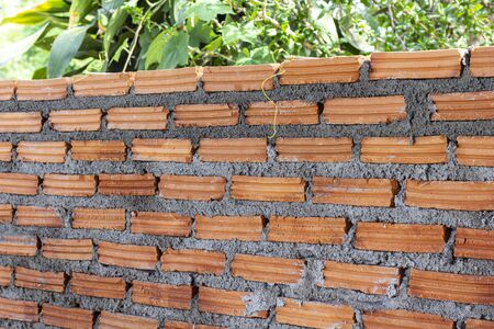 Clay brick wall on nature background in Thailandの写真素材