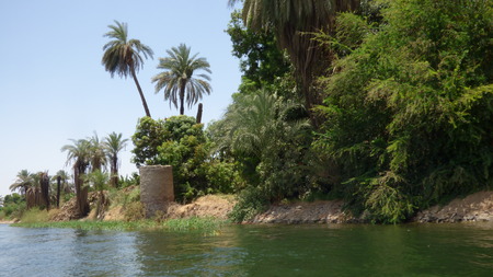 Egypt - shore - Nile shore seen from the shipの写真素材