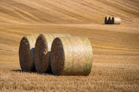 mown grain field with three large round hay bales in the foreground