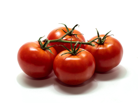 tomato, shrub tomatoes with stems, large, white backgroundの写真素材
