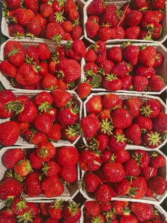 Strawberries in cardboard bowls for sale.