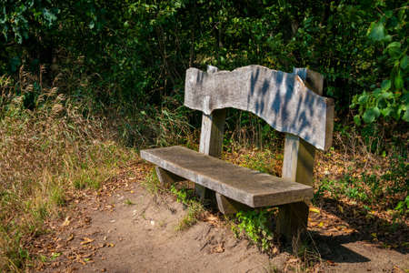 Old wooden bench at the edge of the forest in sunlight
