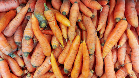 Carrots (Daucus carota) for sale