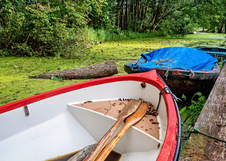 Wooden boat on the lake in the forest. Nature composition.の写真素材