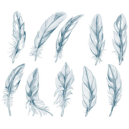 Hand drawn feathers set on white backgroundのイラスト素材