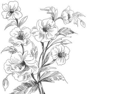 Artistic decorative sketch floral backgroundのイラスト素材