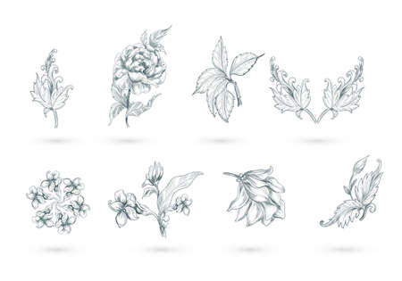 Abstract artistic floral set designのイラスト素材