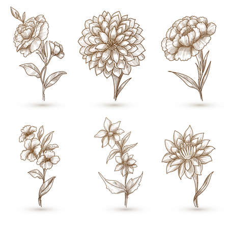 Beautiful artistic floral set designのイラスト素材