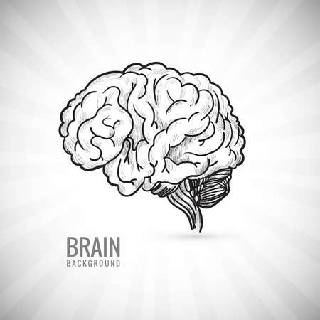 Hand draw human brain sketch backgroundのイラスト素材