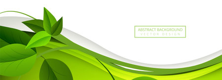 Abstract green leaves wave banner backgroundのイラスト素材