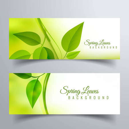 two banners with realistic leavesのイラスト素材