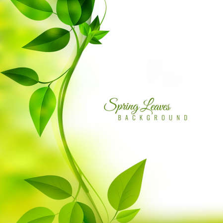 limb with green leaves unfocused backgroundのイラスト素材