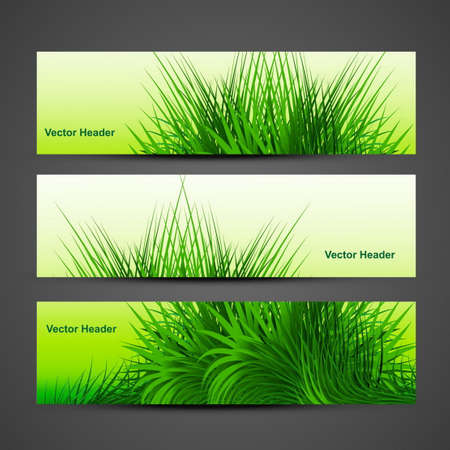 beautiful header with grass vector design illustrationのイラスト素材
