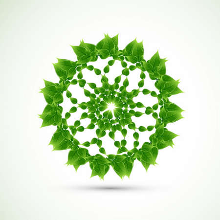 circular design with leaves vector design illustrationのイラスト素材