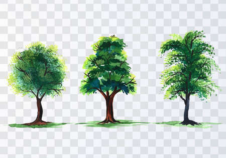 Set of various watercolor trees on transparent backgroundのイラスト素材