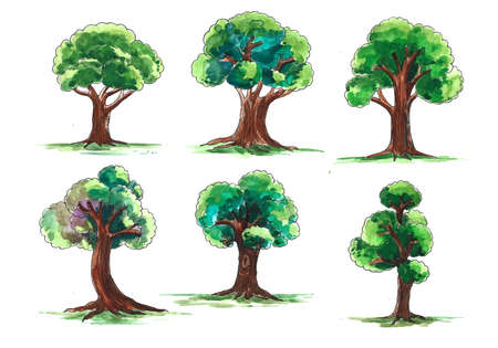 Set of various watercolor trees on white backgroundのイラスト素材