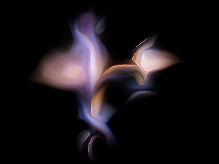 Fractal flame on a black background. Perfect for design work, backgrounds or desktop wallpapersの写真素材