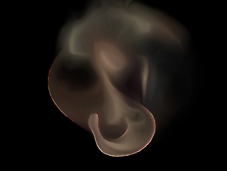 Brown fractal swirl on a black background. Perfect for design work, backgrounds or desktop wallpapers.の写真素材