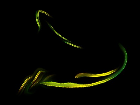 Green fractal swirl on a black background. Perfect for design work, backgrounds or desktop...