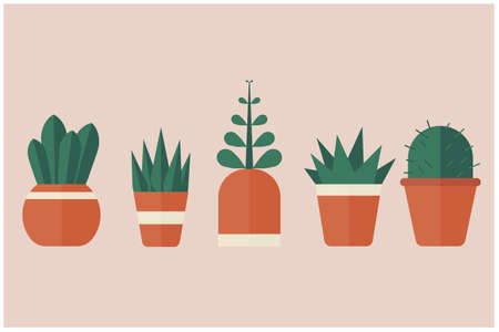 5 potted plants in brown and grown color in flat design, clean and cute, vector illustration ,cactus, catusのイラスト素材