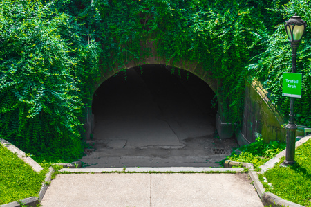 Treefoil Archの写真素材