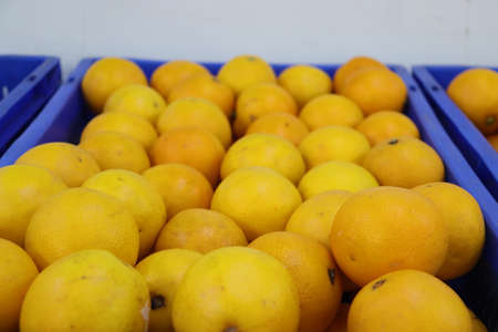 A fruit basket full of oranges in a departmental store.の写真素材