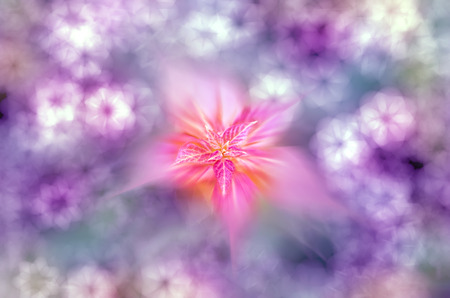 abstract creative spring flower backgroundの写真素材