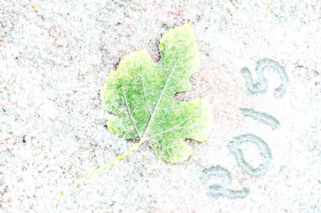 happy new year snow leaf backgroundの写真素材