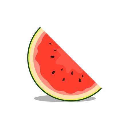 watermelon fruit vector illustration. good for food and drink, restaurant or summer design. flat color styleのイラスト素材