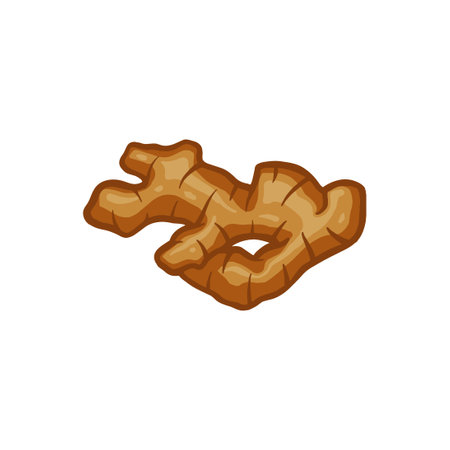 ginger vector illustration. spicy herb ingredient. for body treatment.のイラスト素材