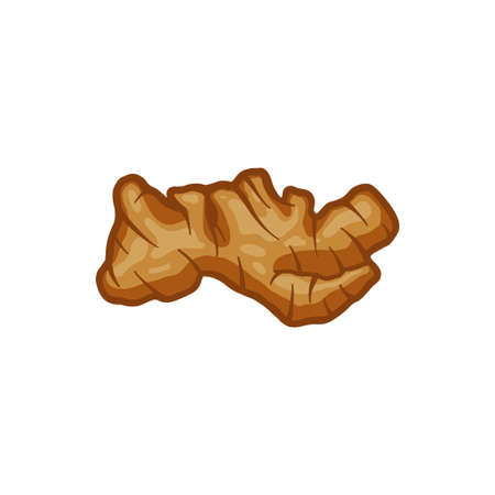 ginger vector illustration. spicy herb ingredient. for body treatment.のイラスト素材