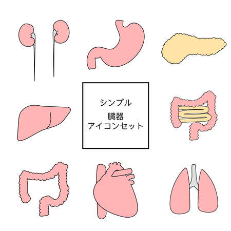 It is an illustration set of simple and easy-to-use organs. Includes illustrations of heart, kidney, liver, pancreas, stomach, large intestine, small intestine and lungs.のイラスト素材