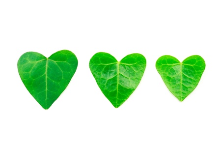 Leaves Heartの写真素材