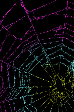The background of a cobweb. It is a colorful spider web.の写真素材