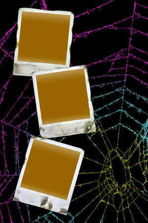 Polaroid and spider web.の写真素材