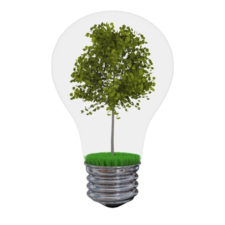 Environmental concept with tree inside lightbulb isolated on white background の写真素材