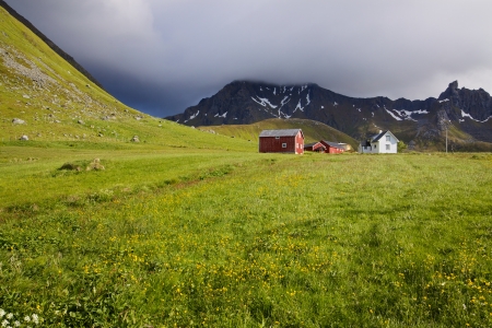 Organic farm on Lofoten islands in Norwayのeditorial素材