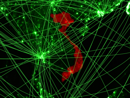 Vietnam on green map with networks. Concept of international travel, communication and technology. 3D illustration.の写真素材