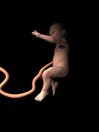 A image of a  in its mothers womb.の写真素材