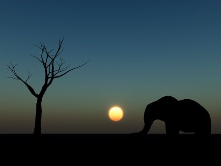 An image of an elephant silhouette with a African sky background.の写真素材