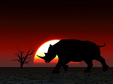 An image of an Rhino silhouette with a African sky background.の写真素材