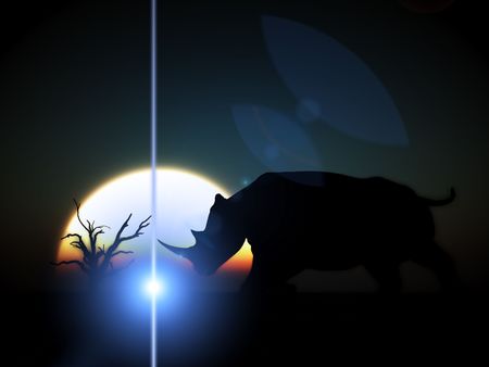 An image of an Rhino silhouette with a African sky backgroundの写真素材