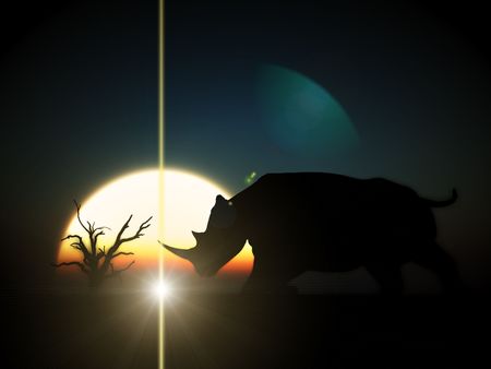 An image of an Rhino silhouette with a African sky backgroundの写真素材