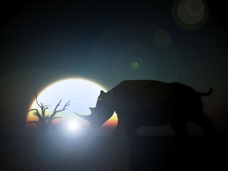 An image of an Rhino silhouette with a African sky backgroundの写真素材