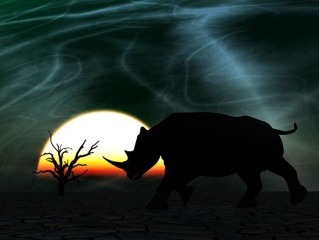 An image of an Rhino silhouette with a African sky backgroundの写真素材