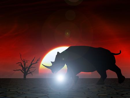 An image of an Rhino silhouette with a African sky backgroundの写真素材