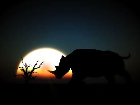 An image of an Rhino silhouette with a African sky background.の写真素材