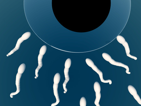 An image of some sperm about to fertilize an egg.